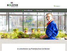 Tablet Screenshot of de-bolster.nl